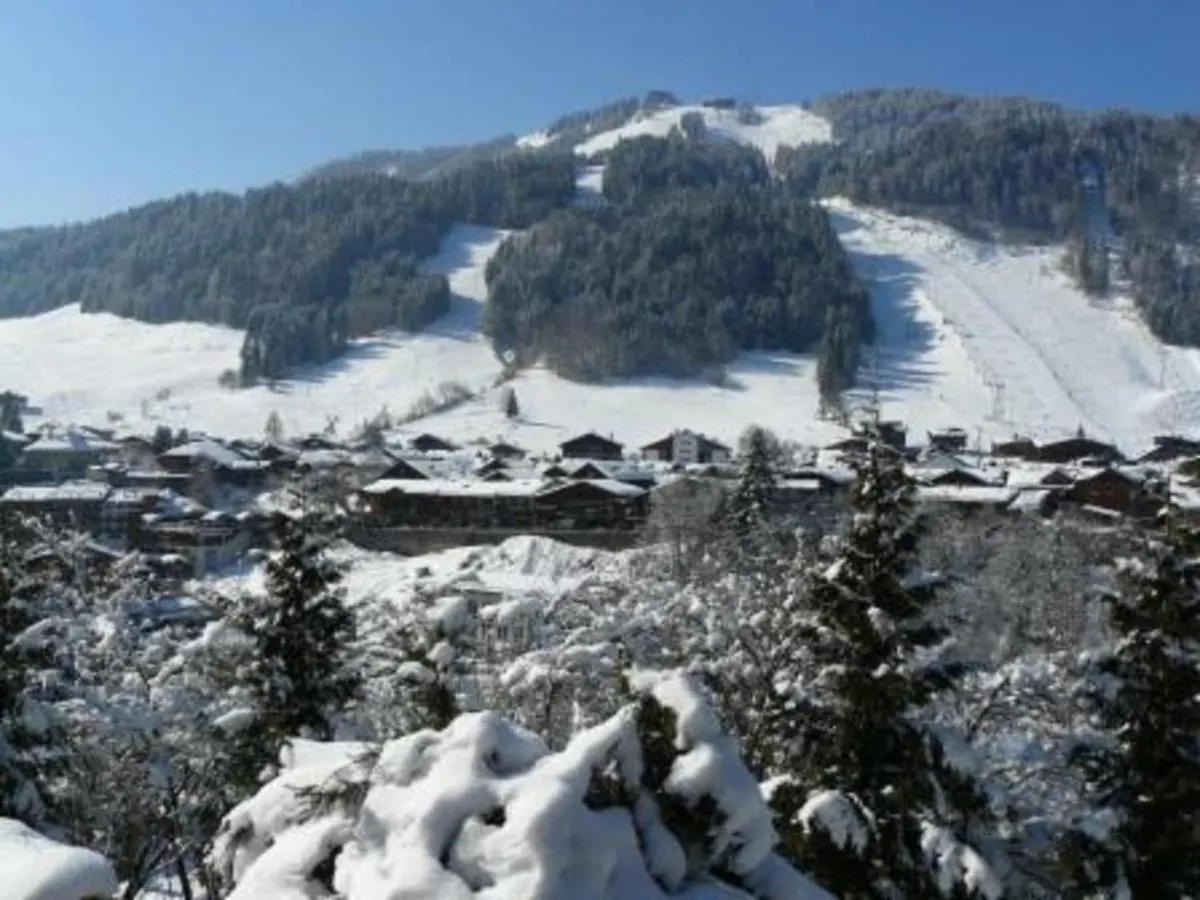 Studio Lumineux Avec Mezzanine, Balcon, Casier A Skis Et Parking A 5 Min Du Centre De Morzine. - Fr-1-524-87 0*, Morzine